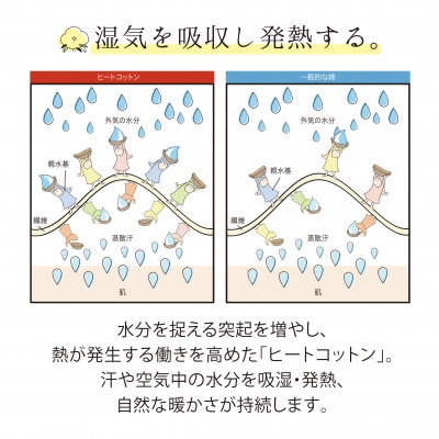 ヒートコットン　レディースパジャマ　綿100%　前開き　Lサイズ　パープル