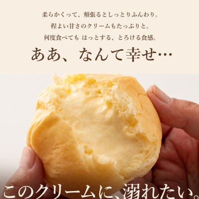 八天堂　「プレミアムフローズンくりーむパン」[015-004]