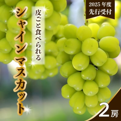 【数量限定・先行受付】久和田農園 朝採りシャインマスカット 2房 (約1kg)[034-003]