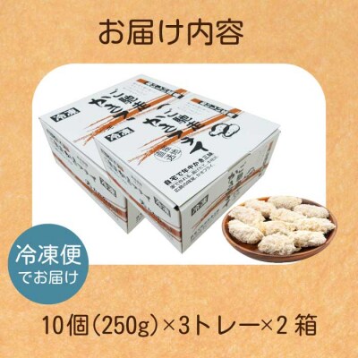 広島県産かき使用!ご馳走かきフライ 2箱(10個×6)[022-002]