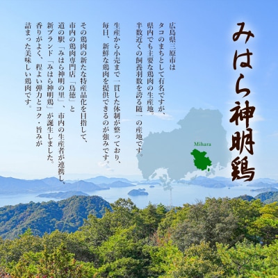 『老舗フレンチレストラン』と『八天堂』監修 みはら神明鶏広島三原の黒カレー[012-014]
