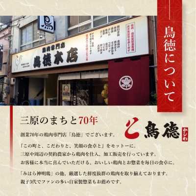 『老舗フレンチレストラン』と『八天堂』監修 みはら神明鶏広島三原の黒カレー[012-014]