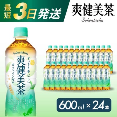 爽健美茶 PET 600ml×24本 [014-010]