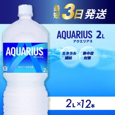 アクエリアス　2Lペットボトル　12本 [014-019]