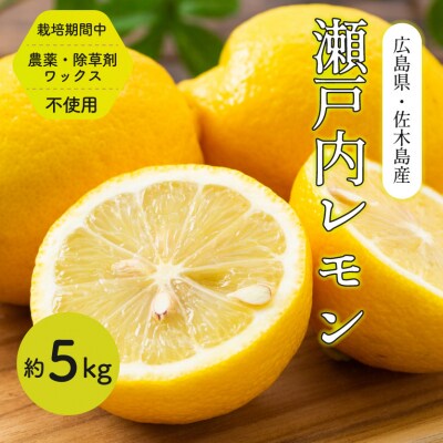 【栽培期間中 農薬・除草剤不使用】離島 佐木島!旬のレモン 約5kg[017-003]