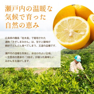 【栽培期間中 農薬・除草剤不使用】離島 佐木島!旬のレモン 約5kg[017-003]