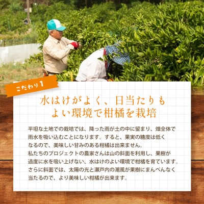 【栽培期間中 農薬・除草剤不使用】離島 佐木島!旬のレモン 約3kg[017-004]