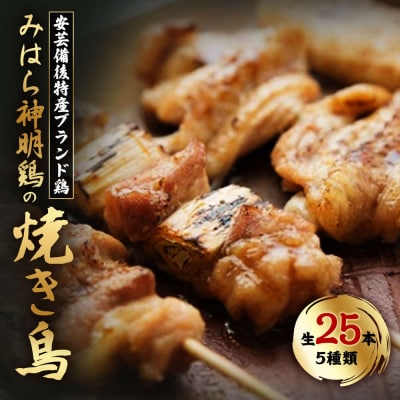 秘伝のタレとレモスコで食べる「みはら神明鶏」の焼き鳥25本入(生)[012-013]