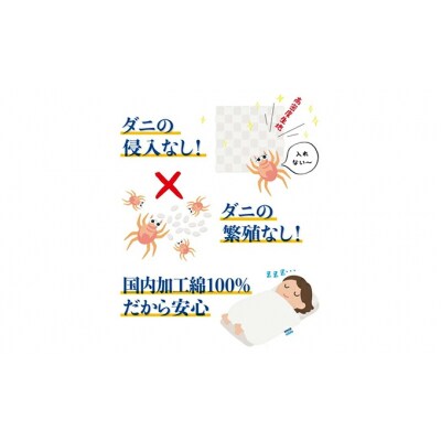 ダニ等の発生・侵入を防ぐ布団 ネムリエ  掛布団ダブル(190×210)[016-002]