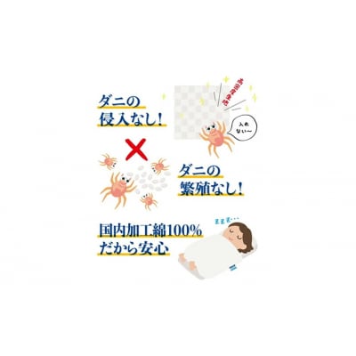 ダニ等の発生・侵入を防ぐ布団 ネムリエ  まくら(43×63) [016-009]
