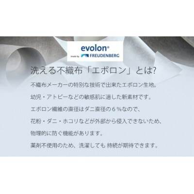 夏用マスク 30回洗って使える エボロンの不織布マスク10枚入り(Sホワイト)[016-136]