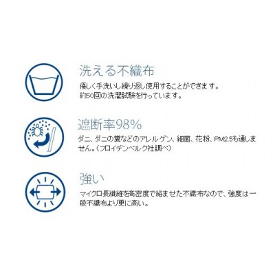夏用マスク 30回洗って使える エボロンの不織布マスク10枚入り(Sホワイト)[016-136]