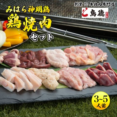 鮮度抜群6種入り　鶏肉専門店の「焼肉BBQセット(みはら神明鶏)」[012-002]