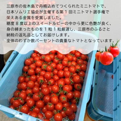 第1回全国ミニトマト選手権金賞受賞!佐木島産スイートルビートマト(約500g)[032-002]