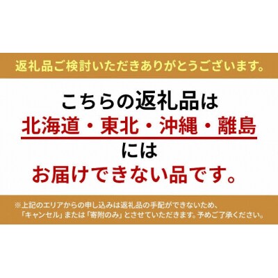 テングソース半とん　900mL×12[001-008]