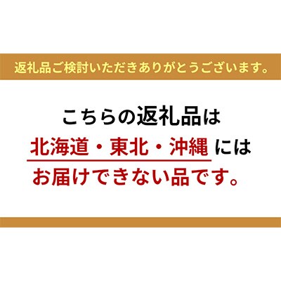 テングソース500-Bセット　お好み×8、半とん・ウスター×各2[5311-0252]