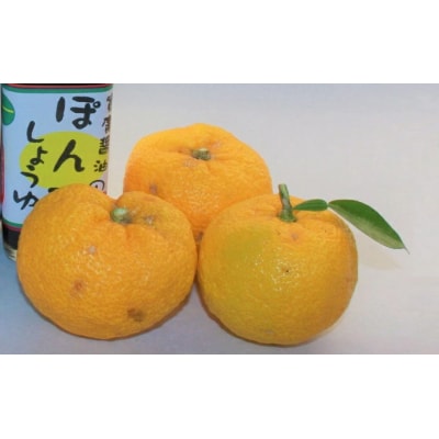 【鍋,お刺身などに】ぽん酢、うまみ醤油2本セット[007-005]