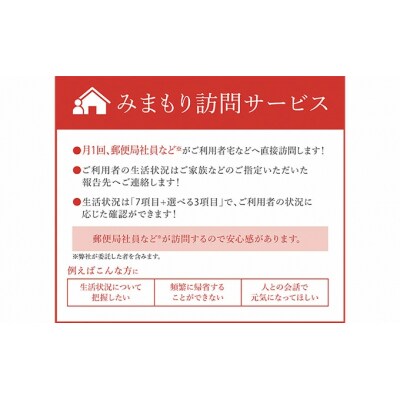 みまもり訪問サービス(6か月)[145-002]