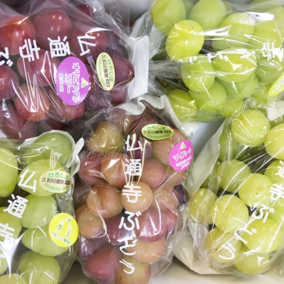 【数量限定・先行受付】久和田農園朝採りぶどうおまかせセット 約2kg [034-008]