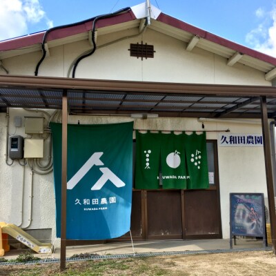 【数量限定・先行受付】久和田農園朝採りぶどうおまかせセット 約2kg [034-008]