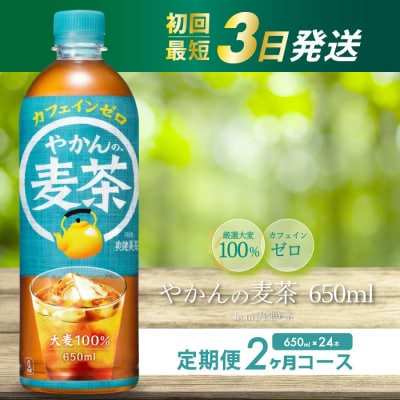 【2か月定期便】やかんの麦茶 from 爽健美茶 PET 650ml×24本 [014-006]