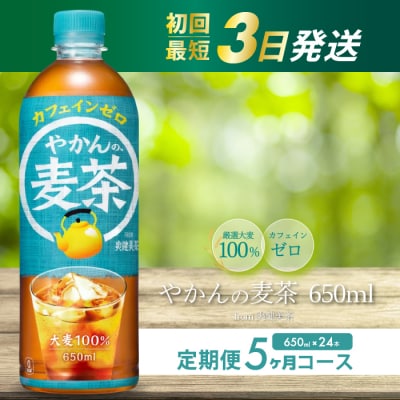 【5か月定期便】やかんの麦茶 from 爽健美茶 PET 650ml×24本 [014-008]