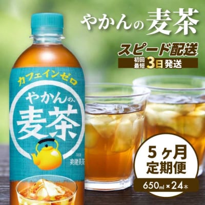 【5か月定期便】やかんの麦茶 from 爽健美茶 PET 650ml×24本 [014-008]