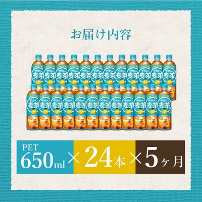 【5か月定期便】やかんの麦茶 from 爽健美茶 PET 650ml×24本 [014-008]