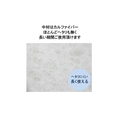ペット用 洗える ベッド 単品 M アイボリー(80×60×3)[016-101]