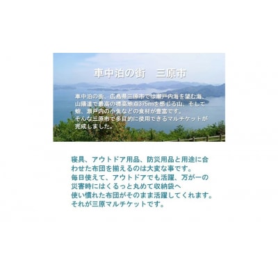 三原マルチケット 防災 寝袋 車中泊 羽毛布団 収納袋付 多目的 シングル [016-106]