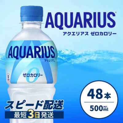 アクエリアスゼロ PET 500ml×48本(24本×2ケース) [014-021]