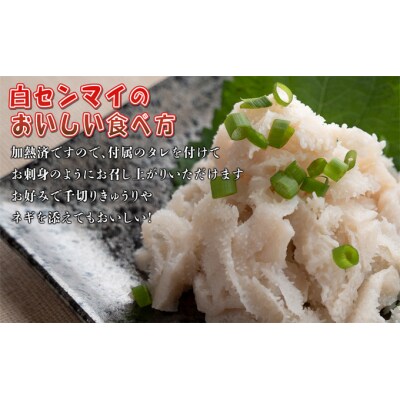 国産牛白せんまい 5パック オンライン決済限定[5311-0517]