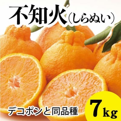 【2025年3月以降発送】甘さ抜群しらぬい!デコちゃん＜約7kg＞[017-028]