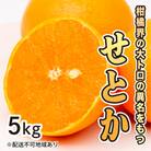 【先行受付】果汁たっぷり甘さに満足!せとか 約5kg[017-021]