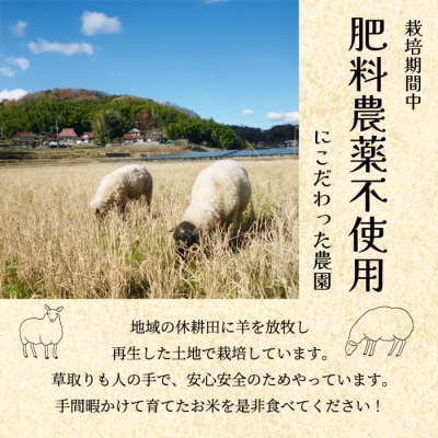 【肥料・農薬:栽培期間中不使用】瀬戸内三原 羊飼いのこしひかり玄米 15kg[002-011]