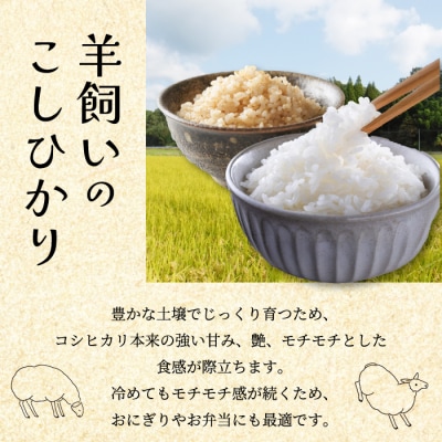【肥料・農薬:栽培期間中不使用】瀬戸内三原 羊飼いのこしひかり 玄米2.5kg [002-009]