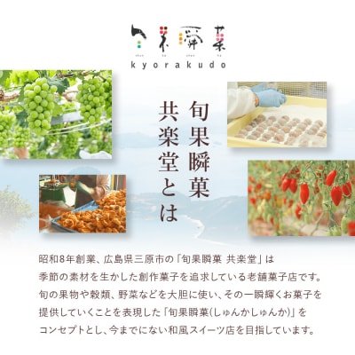 【冬季限定】共楽堂の柿中柚香(6個入)[018-006]