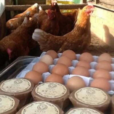 【先行受付】農家プリン(5個入り)2026年4月～順次発送予定[046-003]