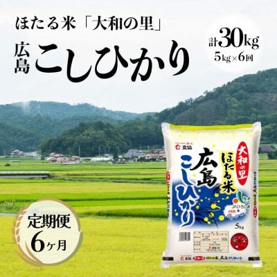 【6ヶ月定期便】ほたる米「大和の里」広島こしひかり 5kg [066-003]