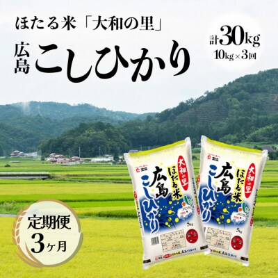 【3ヶ月定期便】ほたる米「大和の里」広島こしひかり 10kg(5kg×2) [066-005]