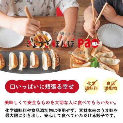 paoの無添加餃子「しそぎょうざ」520g(約40個) [058-005]