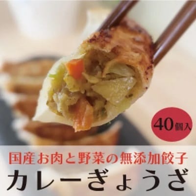 paoの無添加餃子「カレーぎょうざ」[058-006]