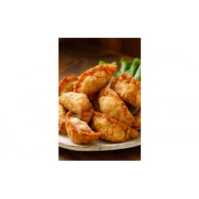 paoの無添加餃子「カレーぎょうざ」[058-006]