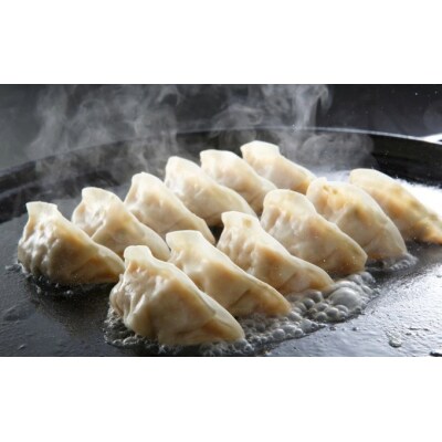 paoの無添加餃子「カレーぎょうざ」[058-006]