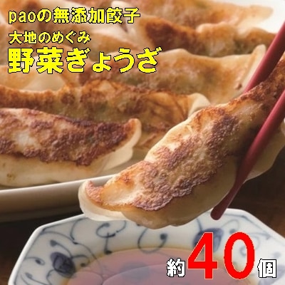 paoの無添加餃子「大地のめぐみ やさいぎょうざ」 [058-007]