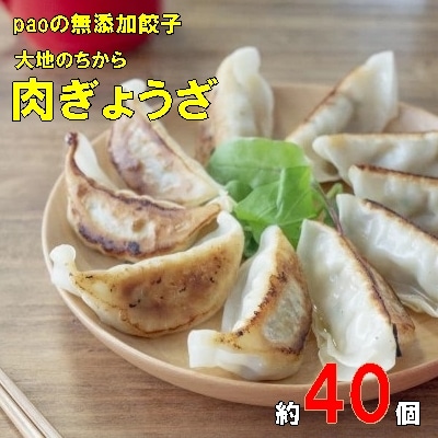 paoの無添加餃子「大地のちから 肉ぎょうざ」[058-008]