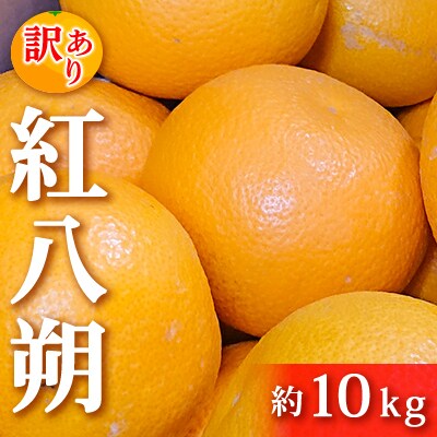 訳あり「紅八朔」約10kg[5311-0639]