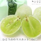 【夏季限定】数々のメディアで紹介され大人気のひとつぶのマスカット(6個入)[5311-0190] 
