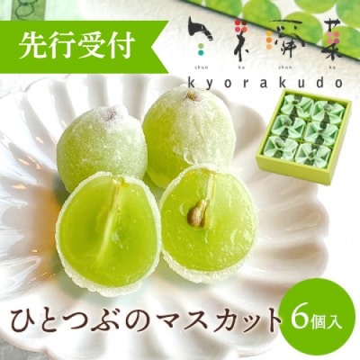 数々のメディアで紹介され大人気のひとつぶのマスカット(6個入)[018-001]