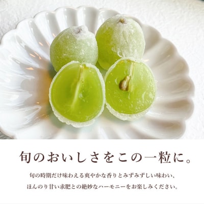 数々のメディアで紹介され大人気のひとつぶのマスカット(10個入)[018-002]